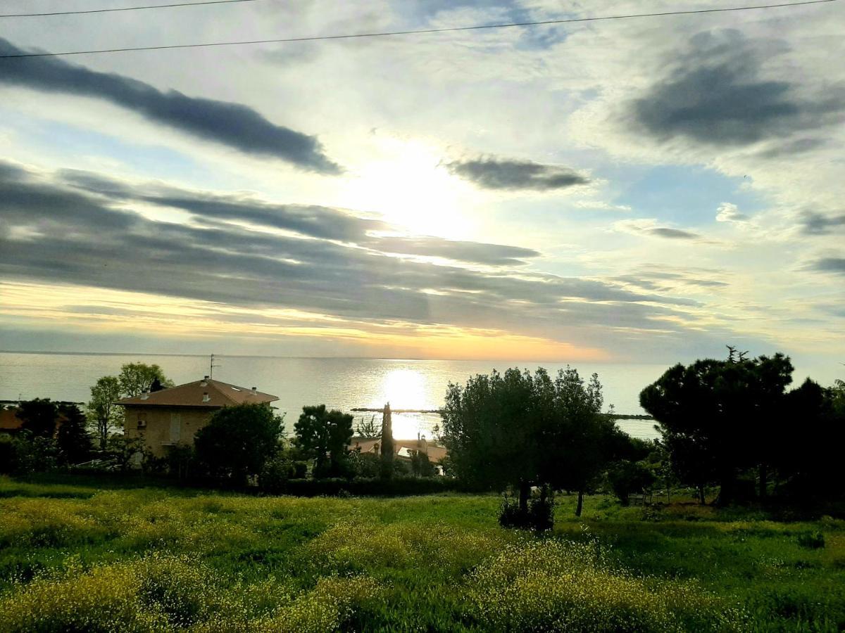 Vila Bio Agriturismo Mare In Campagna Campofilone Exteriér fotografie