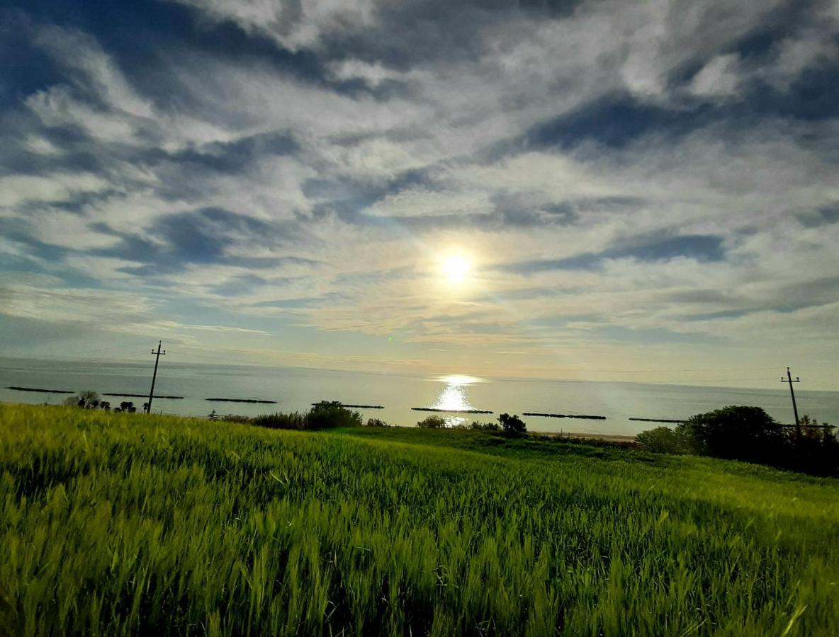 Vila Bio Agriturismo Mare In Campagna Campofilone Exteriér fotografie