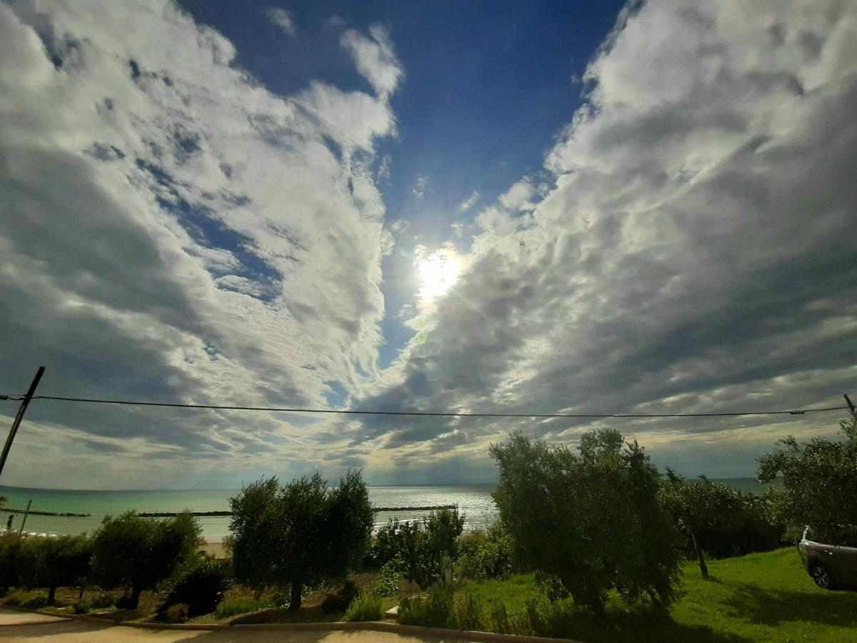 Vila Bio Agriturismo Mare In Campagna Campofilone Exteriér fotografie