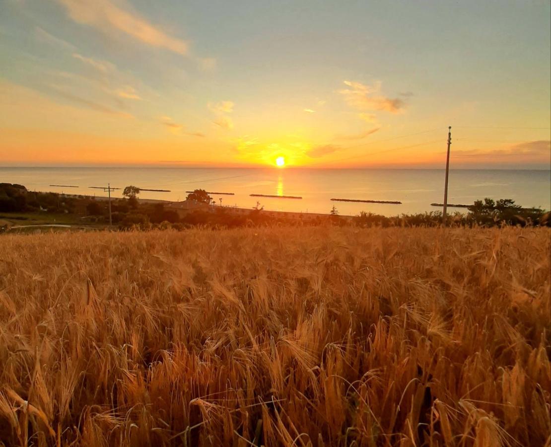 Vila Bio Agriturismo Mare In Campagna Campofilone Exteriér fotografie