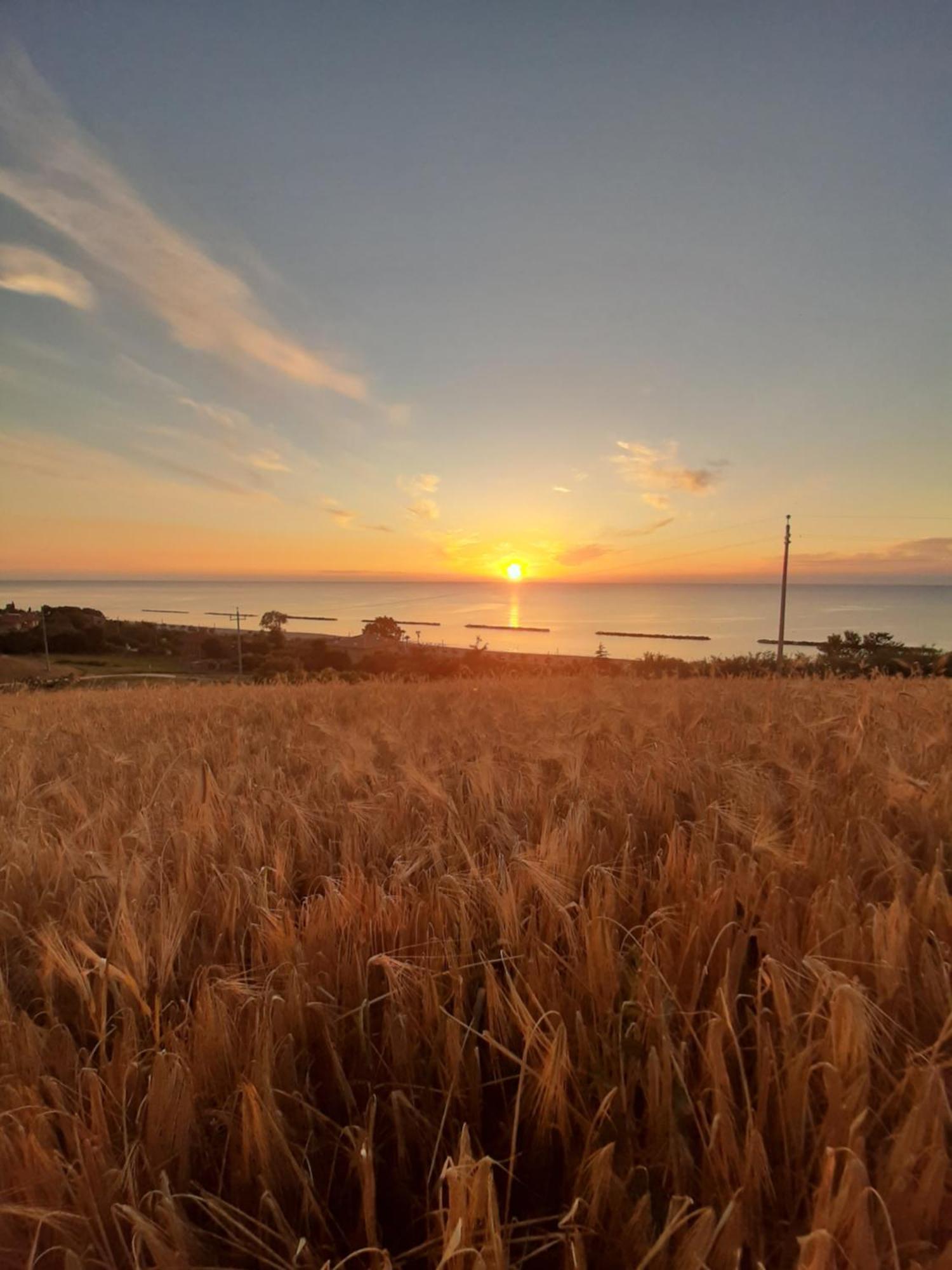 Vila Bio Agriturismo Mare In Campagna Campofilone Exteriér fotografie