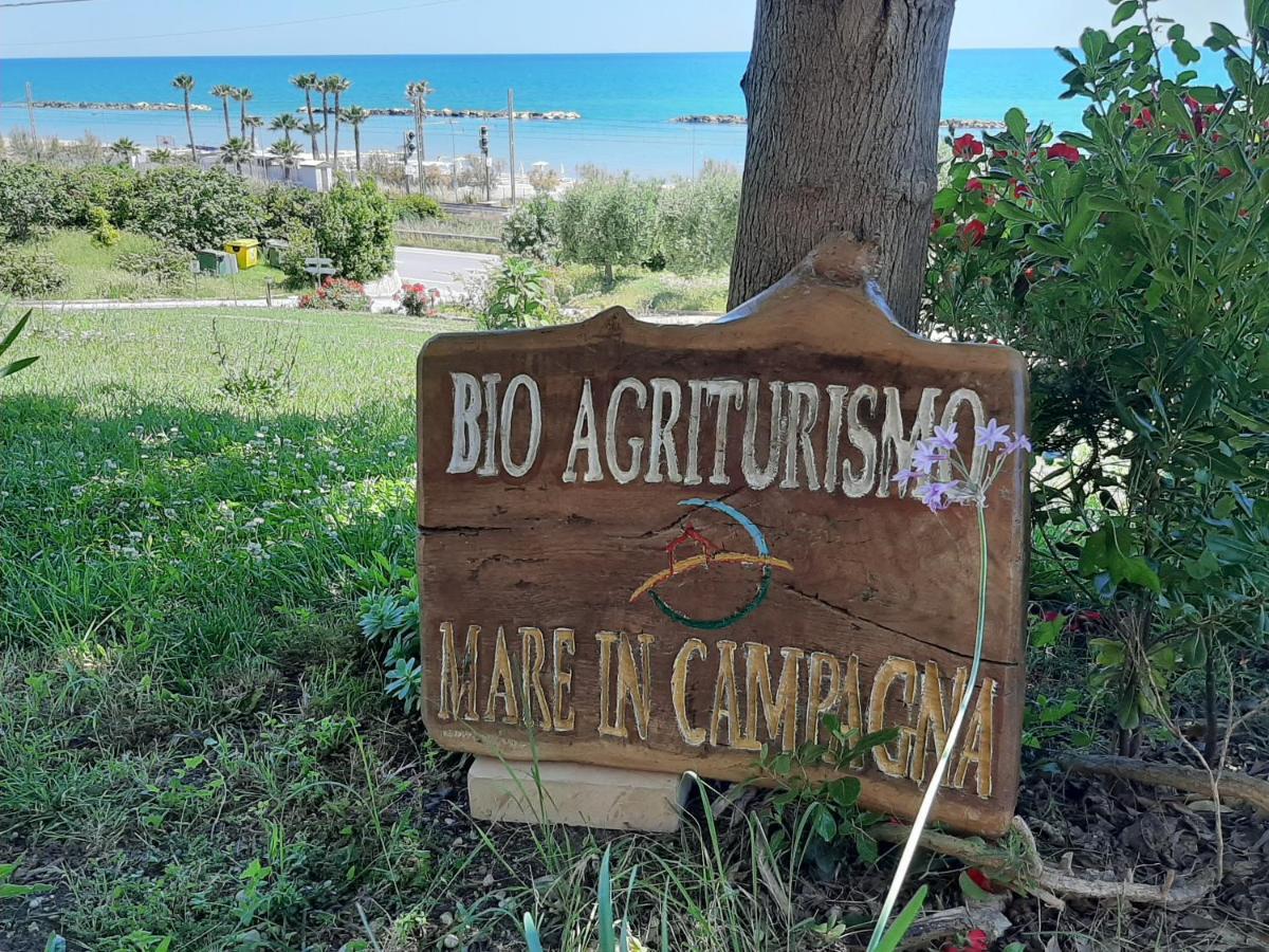 Vila Bio Agriturismo Mare In Campagna Campofilone Exteriér fotografie