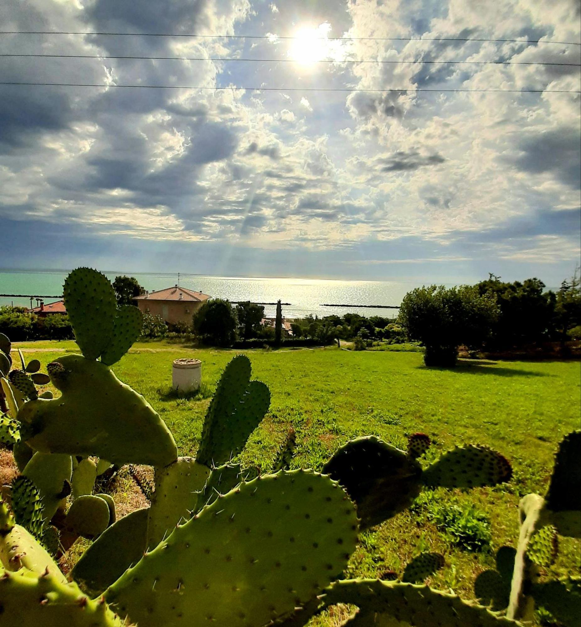 Vila Bio Agriturismo Mare In Campagna Campofilone Exteriér fotografie