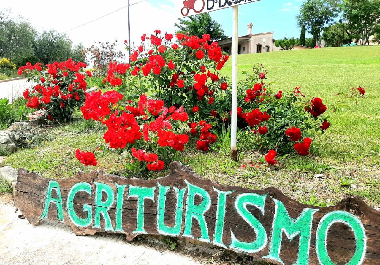 Vila Bio Agriturismo Mare In Campagna Campofilone Exteriér fotografie