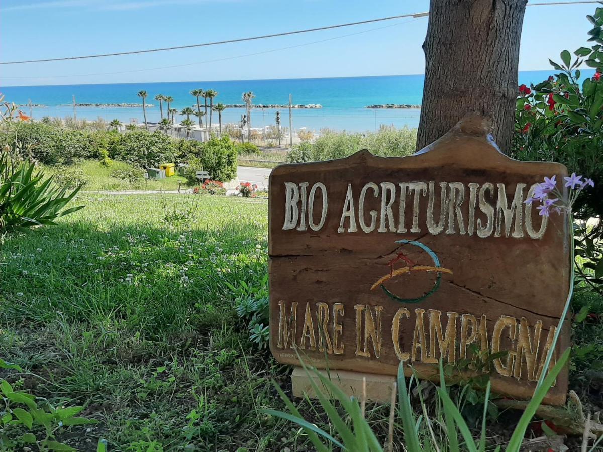 Vila Bio Agriturismo Mare In Campagna Campofilone Exteriér fotografie