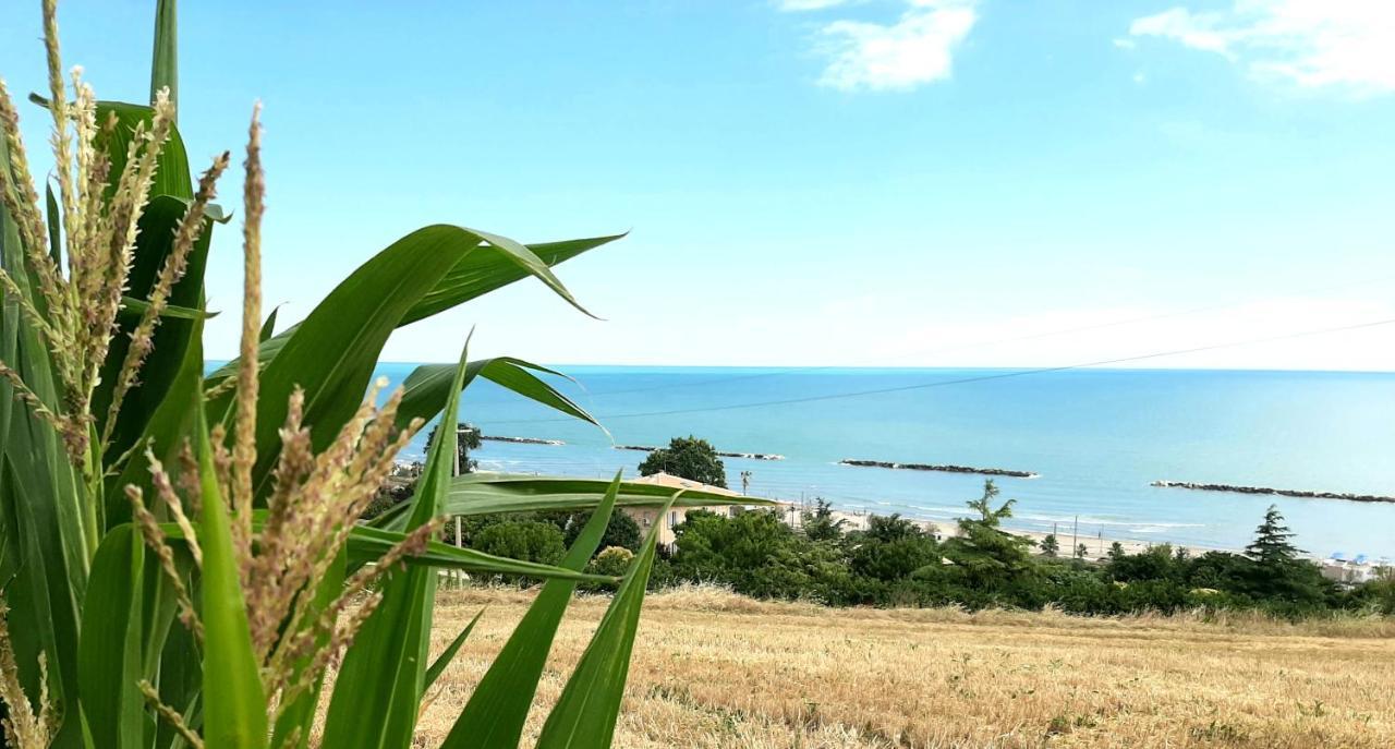 Vila Bio Agriturismo Mare In Campagna Campofilone Exteriér fotografie